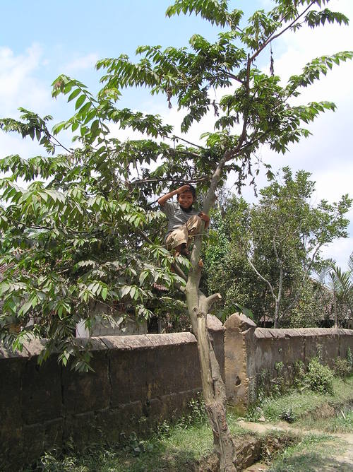 2005_indonesiatrip_301_2